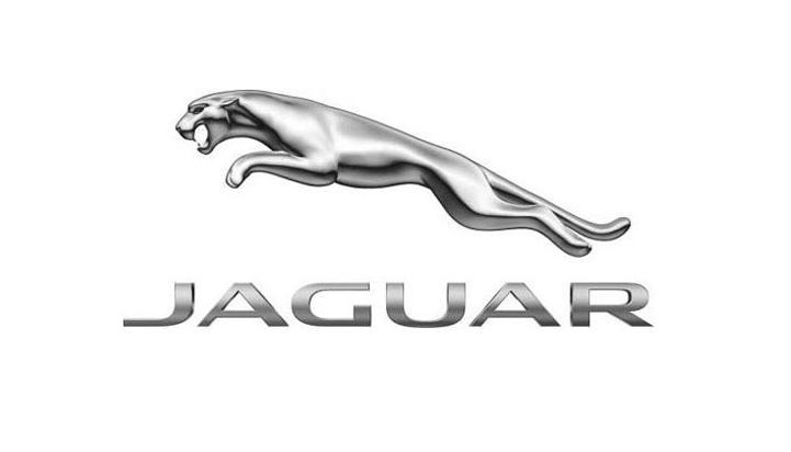 Jaguar kontakt